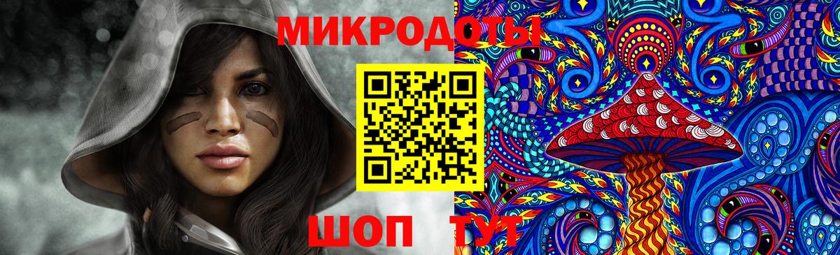 Миллерово  Псилоцибиновые грибы прущие грибы  Псилоцибиновые грибы MAGIC MUSHROOMS  наркошоп  Вход с VPN 