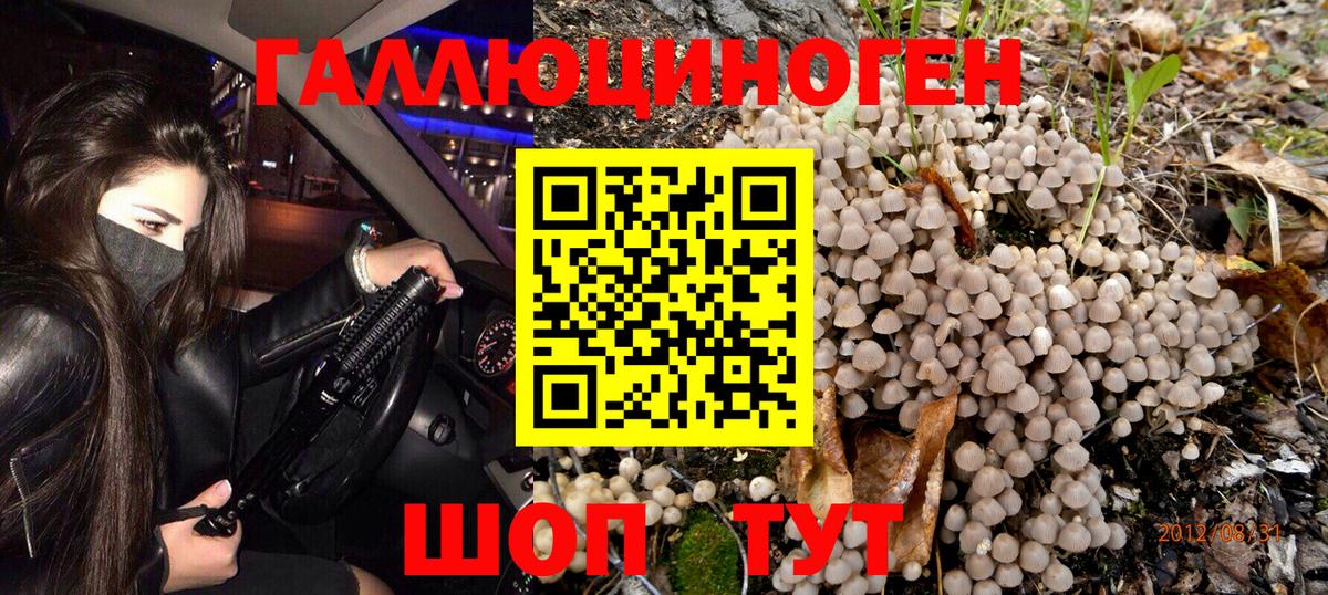 Галлюциногенные грибы мицелий Миллерово